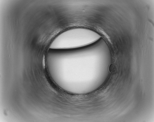 X0000094200020200710260922