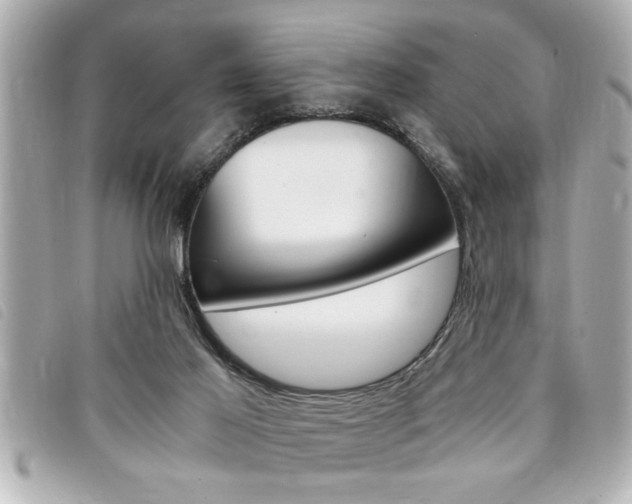 X0000094200021200710260922