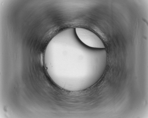 X0000094200022200710260922