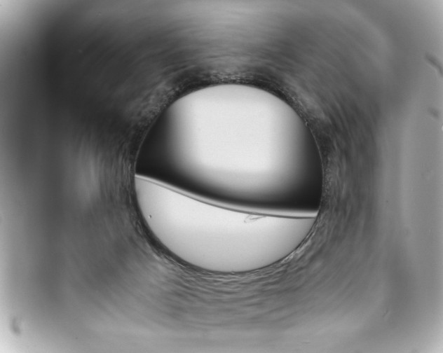 X0000094200025200710260922