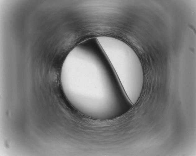 X0000094200031200710260921