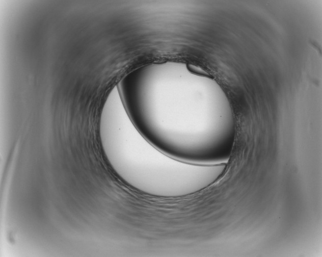 X0000094200033200710260921