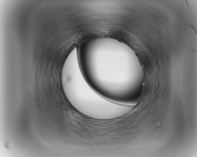 X0000094200037200710260921