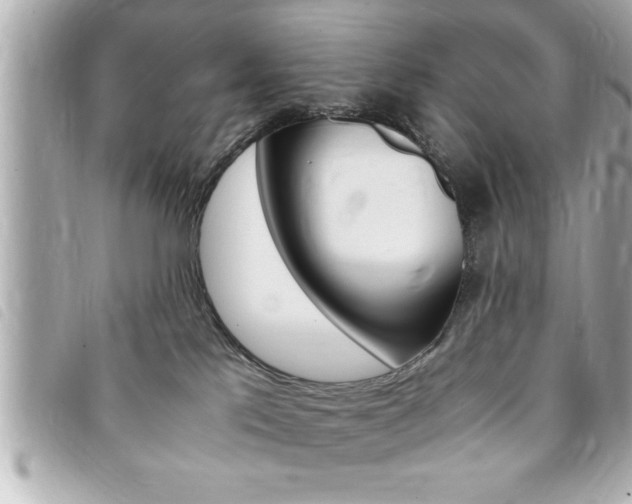 X0000094200041200710260921