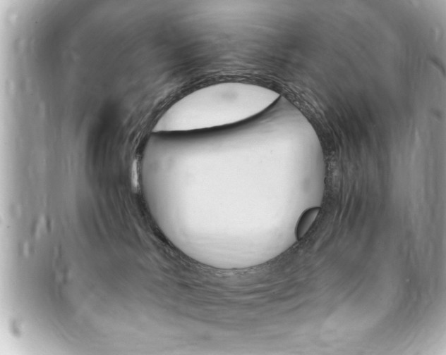 X0000094200042200710260921