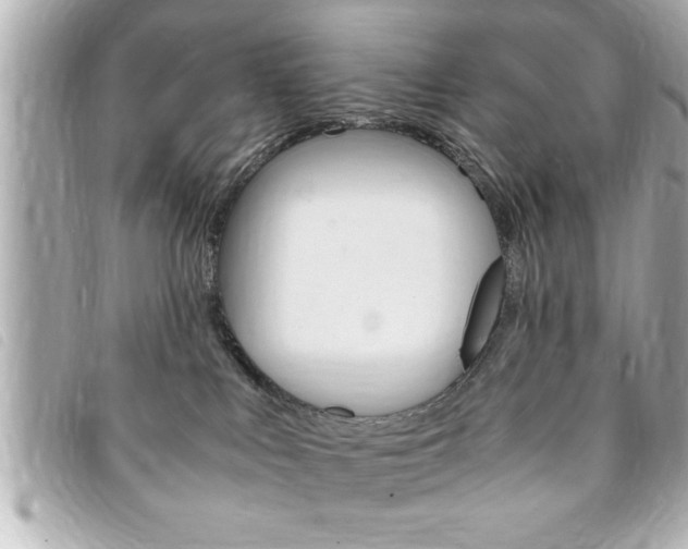 X0000094200043200710260921