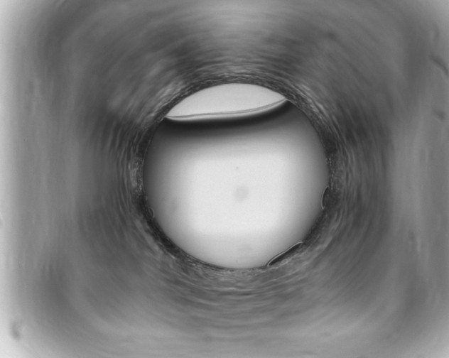 X0000094200044200710260921