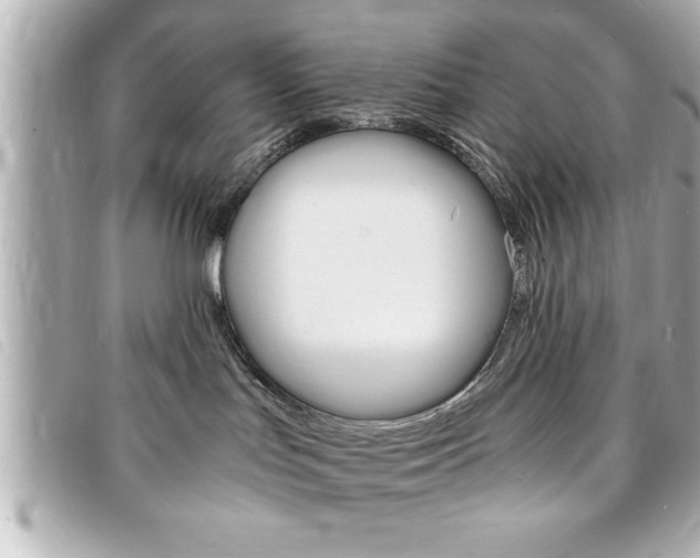 X0000094200047200710260921
