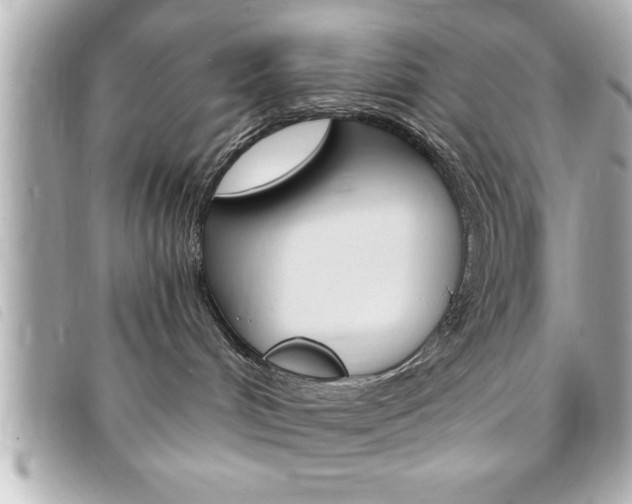 X0000094200048200710260921
