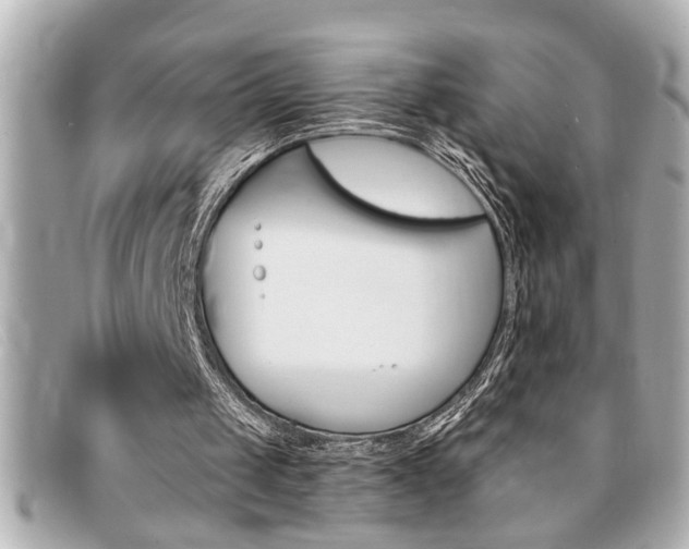 X0000094200049200710260921
