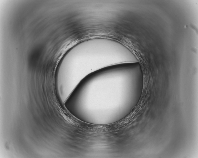 X0000094200050200710260921