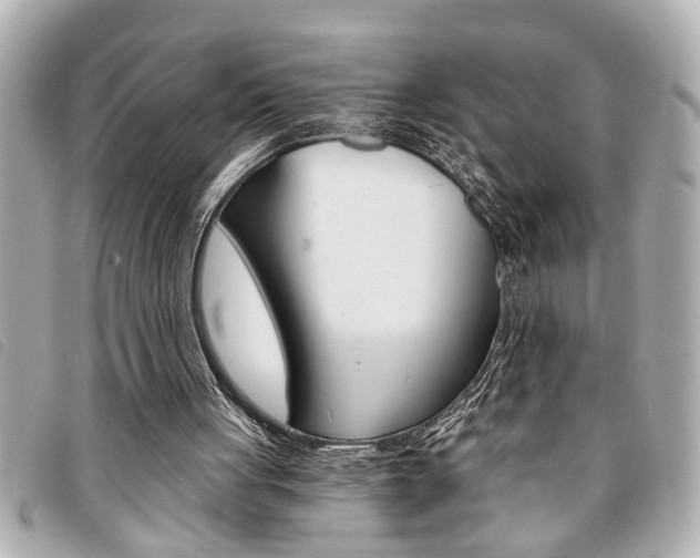 X0000094200051200710260921