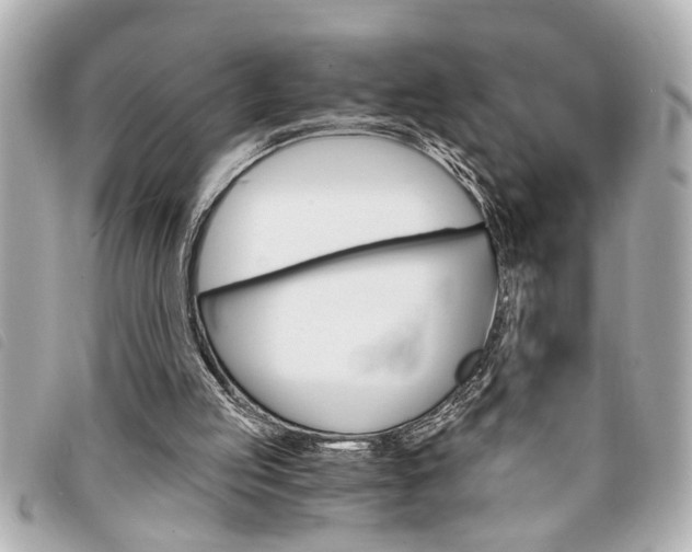 X0000094200053200710260921