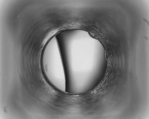 X0000094200054200710260921