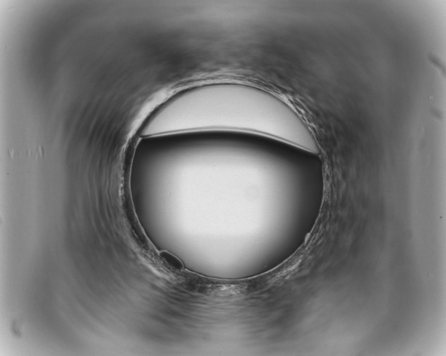 X0000094200056200710260921