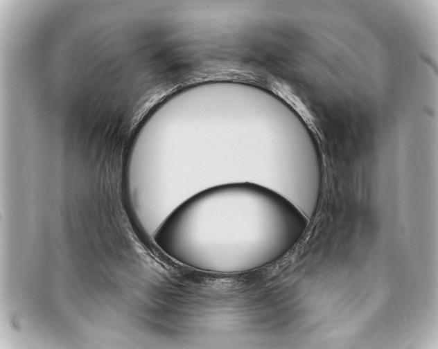 X0000094200058200710260921