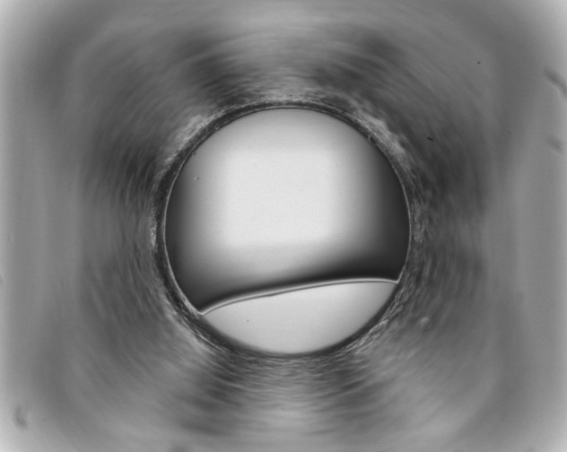 X0000094200060200710260921