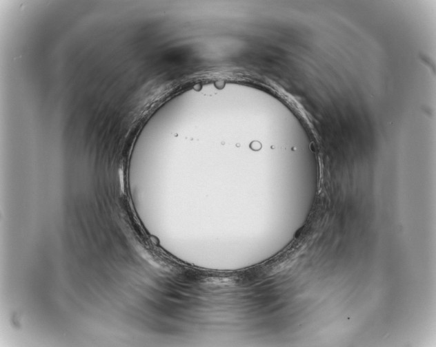 X0000094200061200710260921