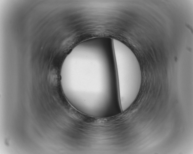 X0000094200080200710260921
