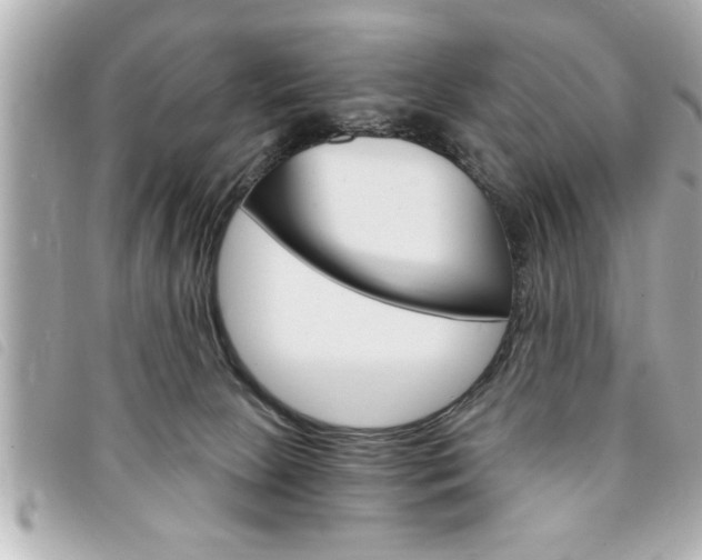 X0000094200081200710260921