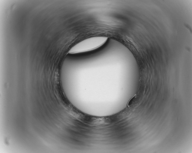 X0000094200083200710260921