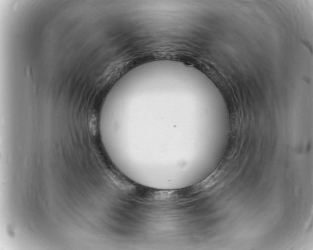 X0000094200090200710260921