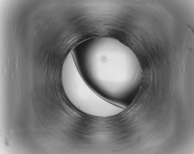 X0000094200092200710260921