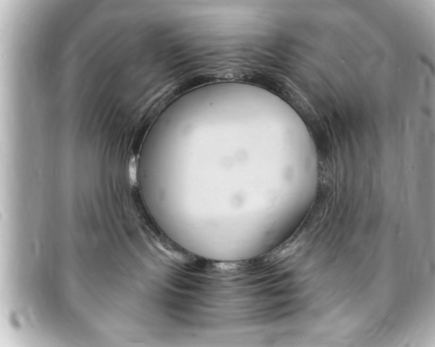 X0000094200095200710260921