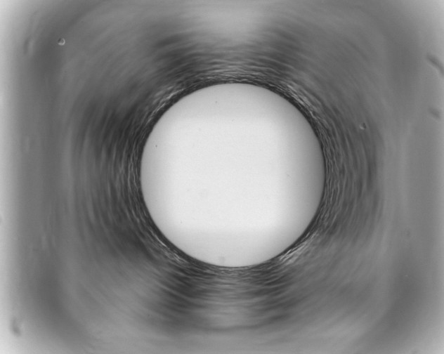 X0000094200096200710260921