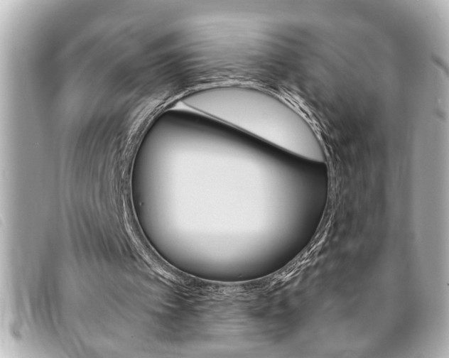 X0000094200097200710260921