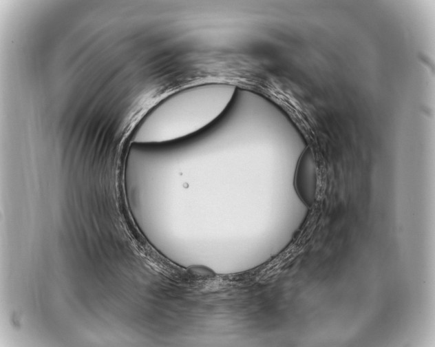 X0000094200098200710260920