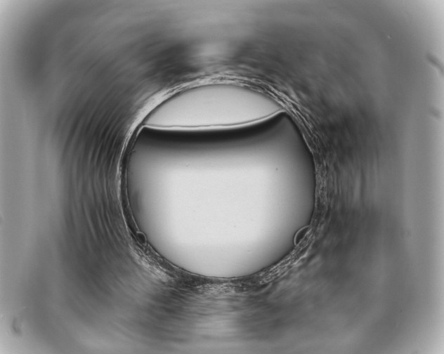 X0000094200100200710260920