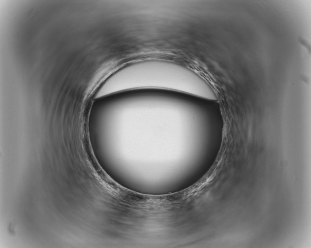 X0000094200101200710260920