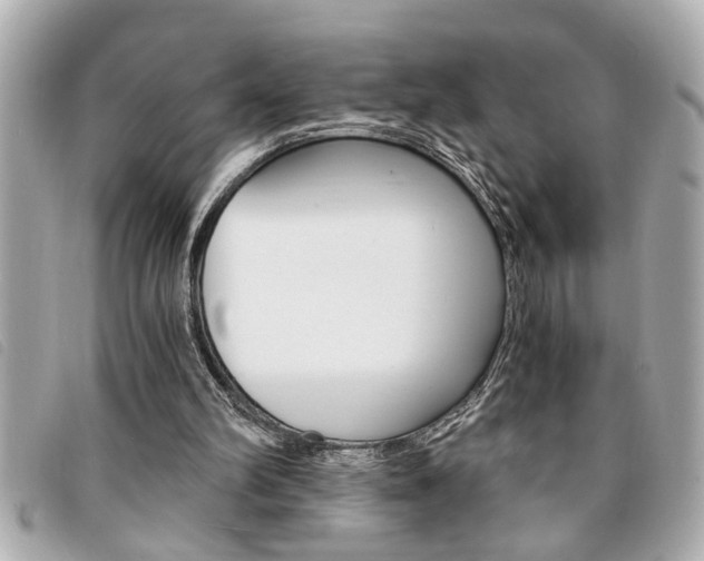 X0000094200102200710260920