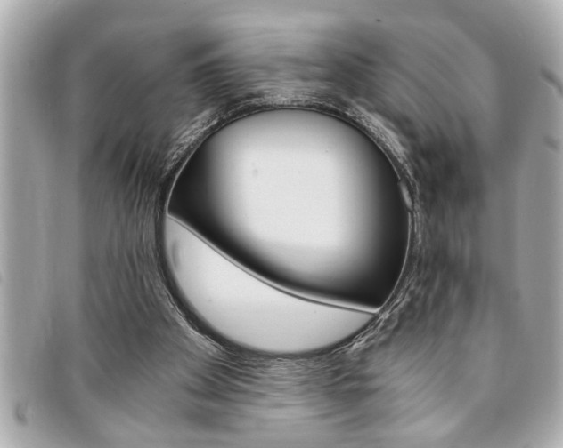 X0000094200105200710260920