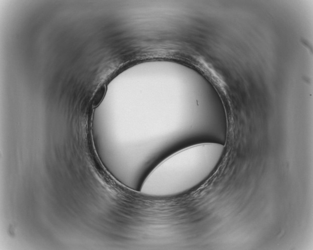 X0000094200107200710260920