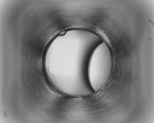 X0000094200108200710260920