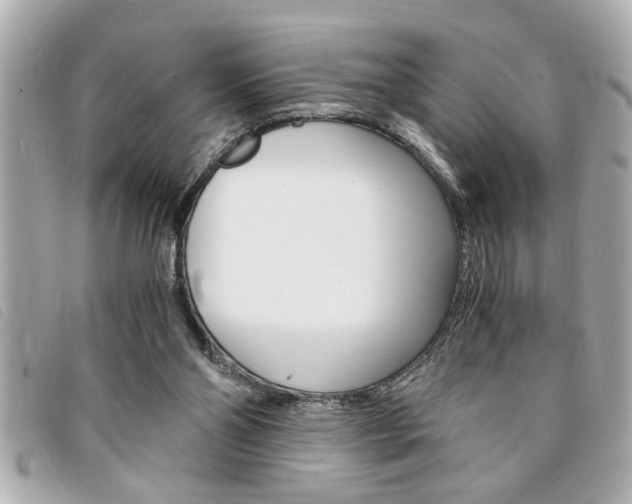 X0000094200110200710260920