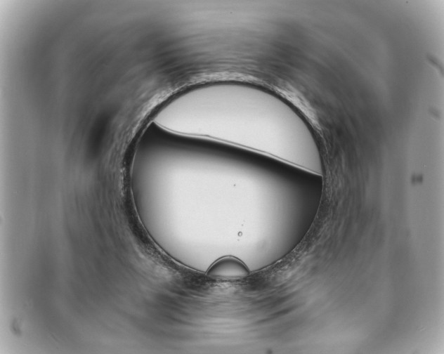 X0000094200111200710260920