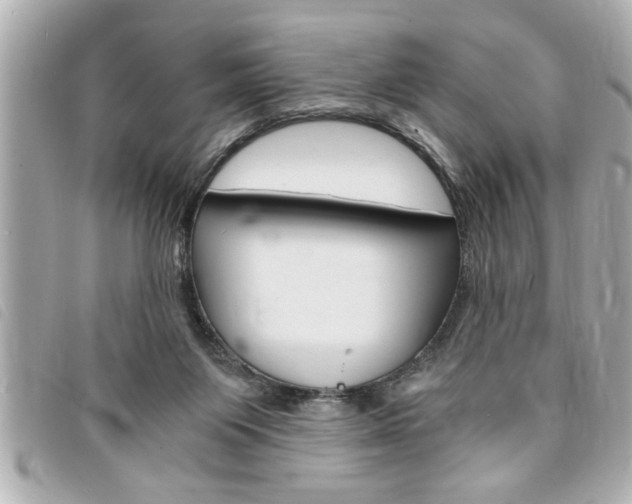 X0000094200119200710260920