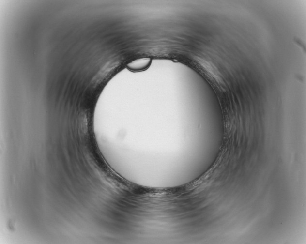 X0000094200120200710260920