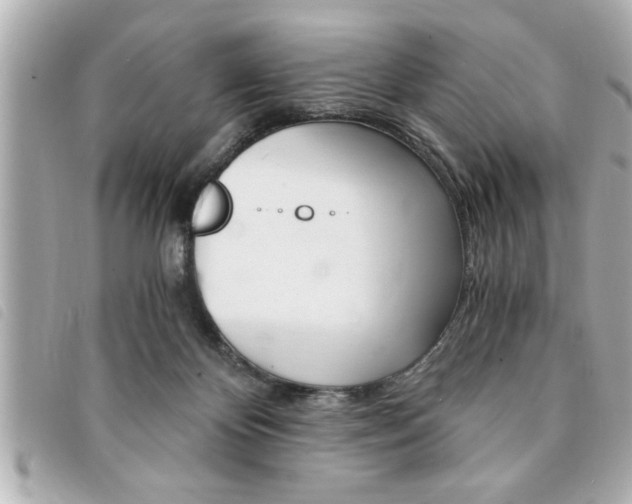 X0000094200124200710260920