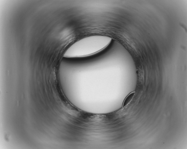 X0000094200128200710260920