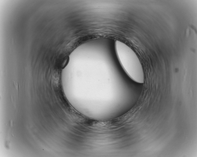 X0000094200129200710260920