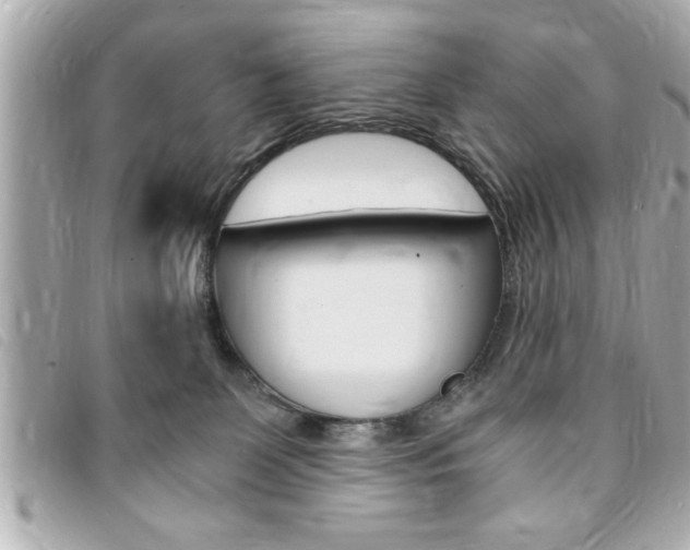 X0000094200131200710260920