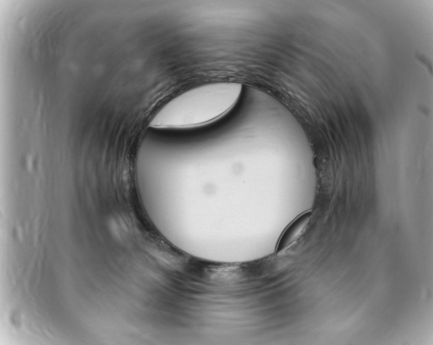 X0000094200132200710260920