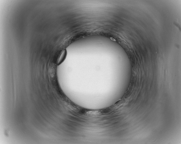 X0000094200133200710260920