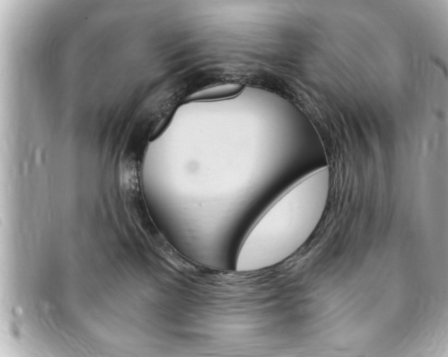 X0000094200137200710260920