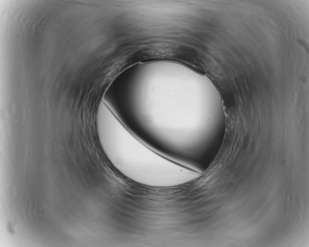 X0000094200141200710260920