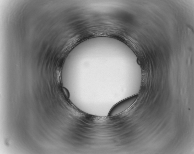 X0000094200142200710260920